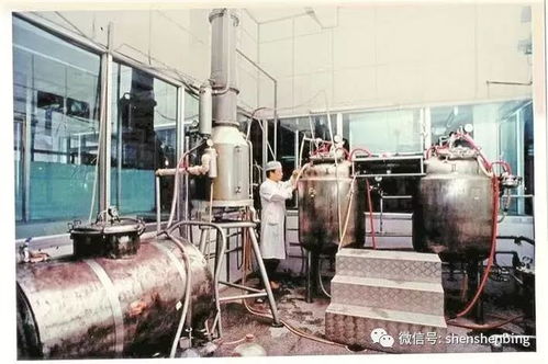 张战 精耕生物医药领域 攀登湾区行业高峰